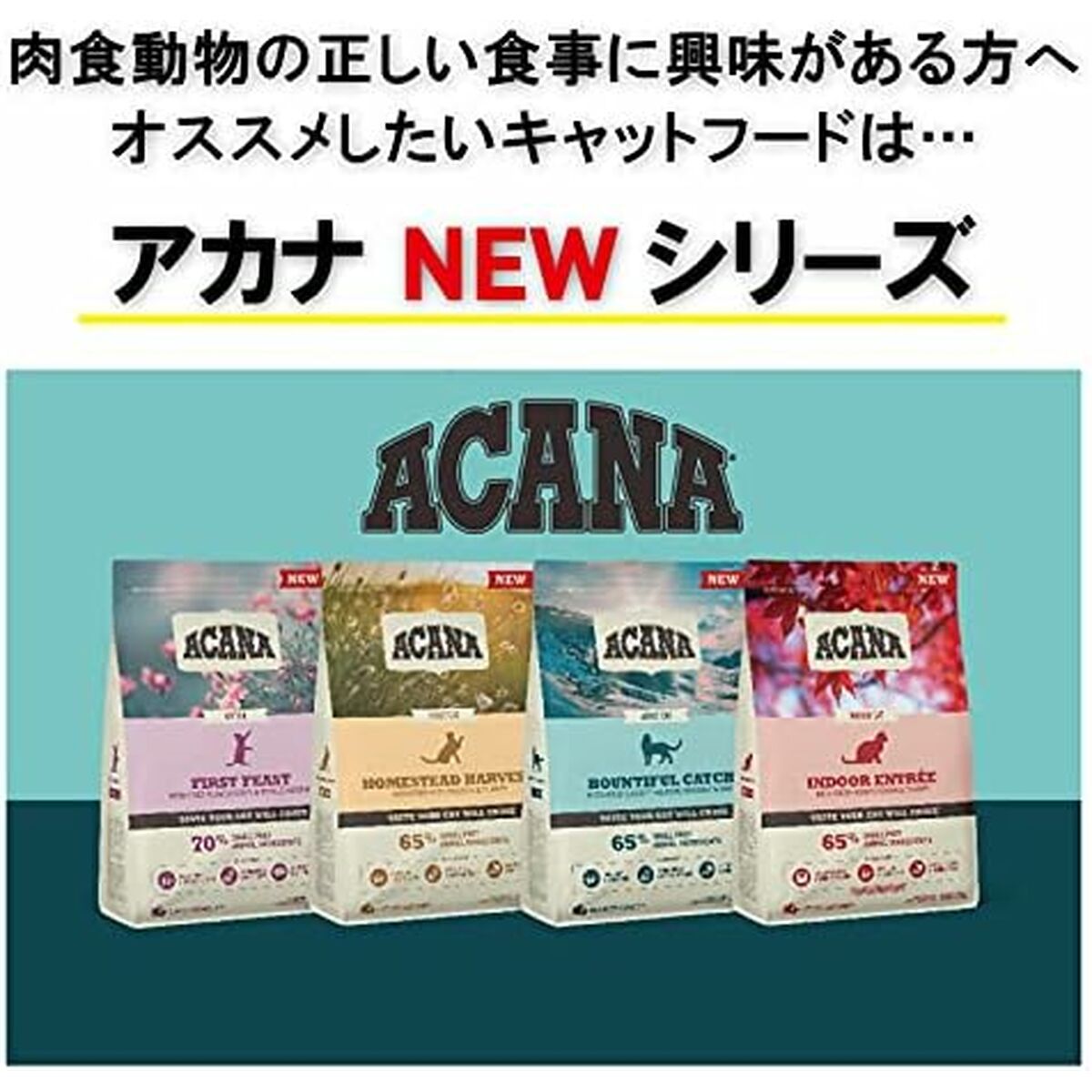 V5H2AF8F755550483279A2C4CFFD224976BR6646836P9