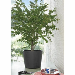 V3H7CA167A8291DA16FCDDBD55C01511A86R6704723P3