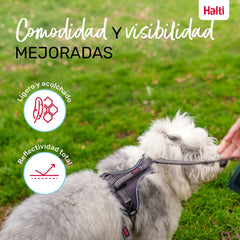 V4H6C68790BB1B8929C7C7A58DF4896A2A7R5328479P6