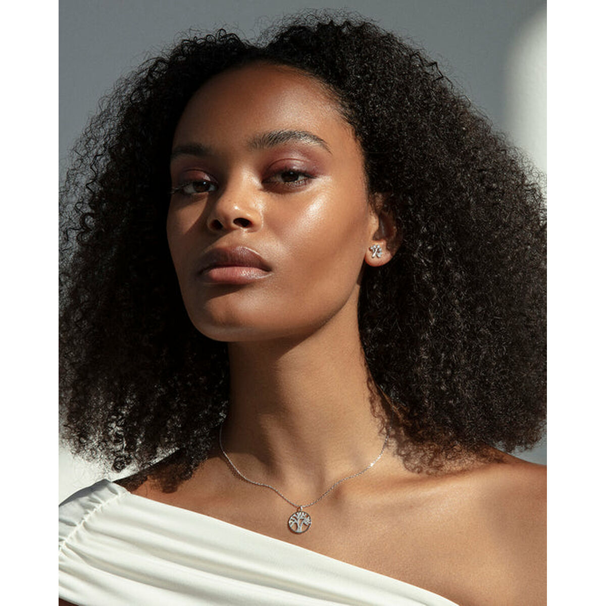 V4H121460584913E4E102C735FF4D95C573R6827704P2