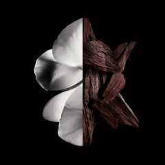 V4H29F747545892DF30CAB429BED0CC2928R6237557P2