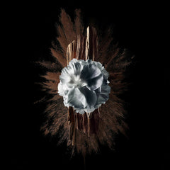 V6HD57BFFBA2AA917DD3D6BAA465CAA4794R5397790P5