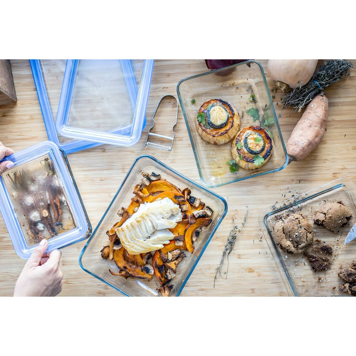 V2H056B2A9D36FA409F94D9179B91B363D8R6754505P9