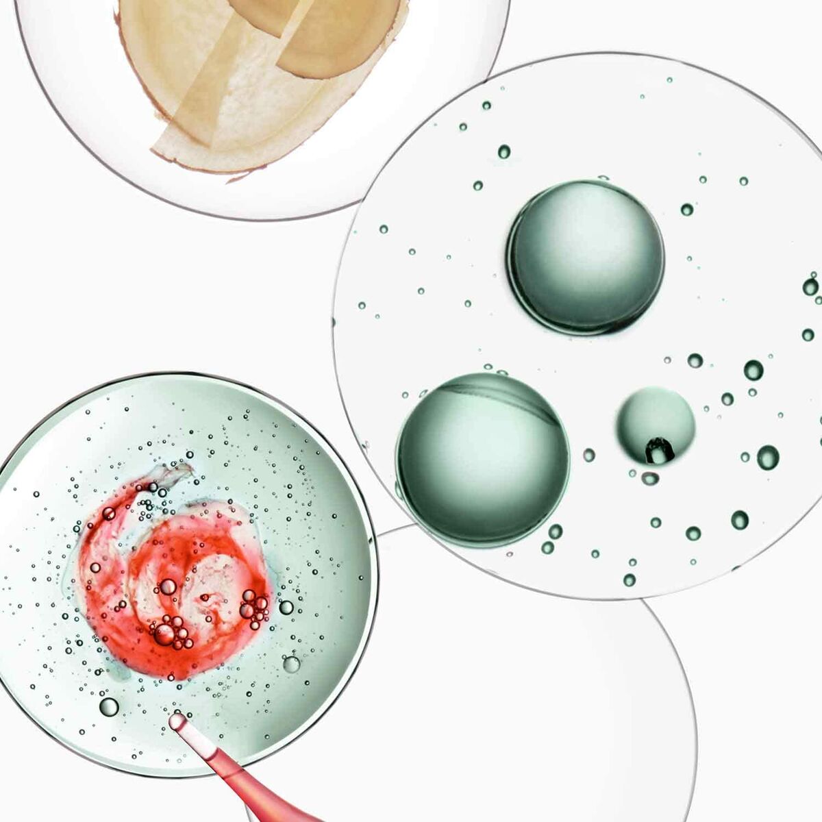 V4H0F1B86C75B19FAD8302E48E222D53EA0R7095582P3