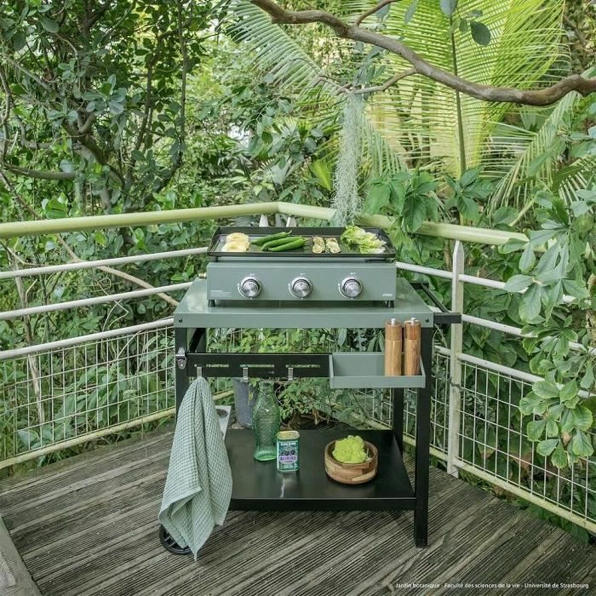 V3H0071D0A27028BD5BB54C925DA876251BR7471733P5