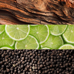 V2H429311A664F7944197FFD2B69654AFD5R7550174P5