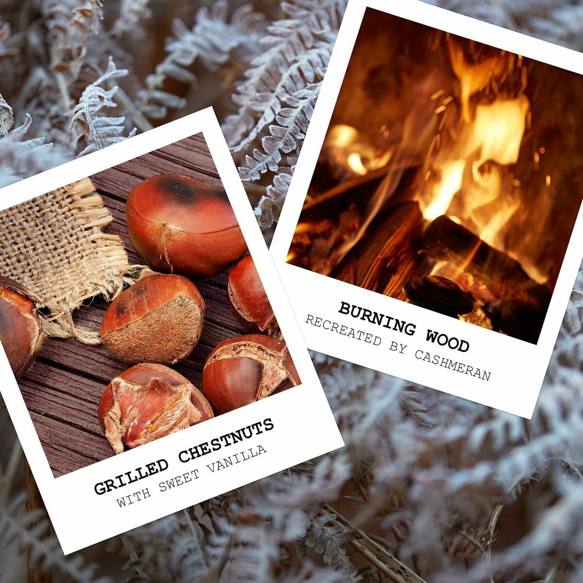 V4H713073F15294CC89A23C175ADAF40A2FR6012047P4