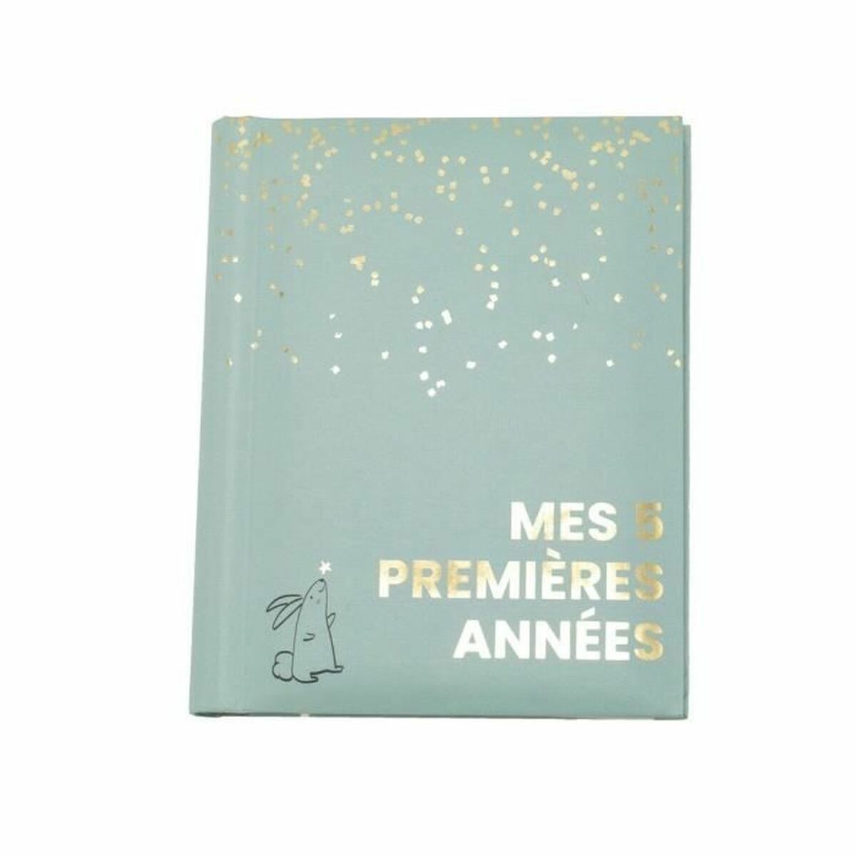 V4H5C21F1377B123A717F5BE8B54982D96CR7254336P1