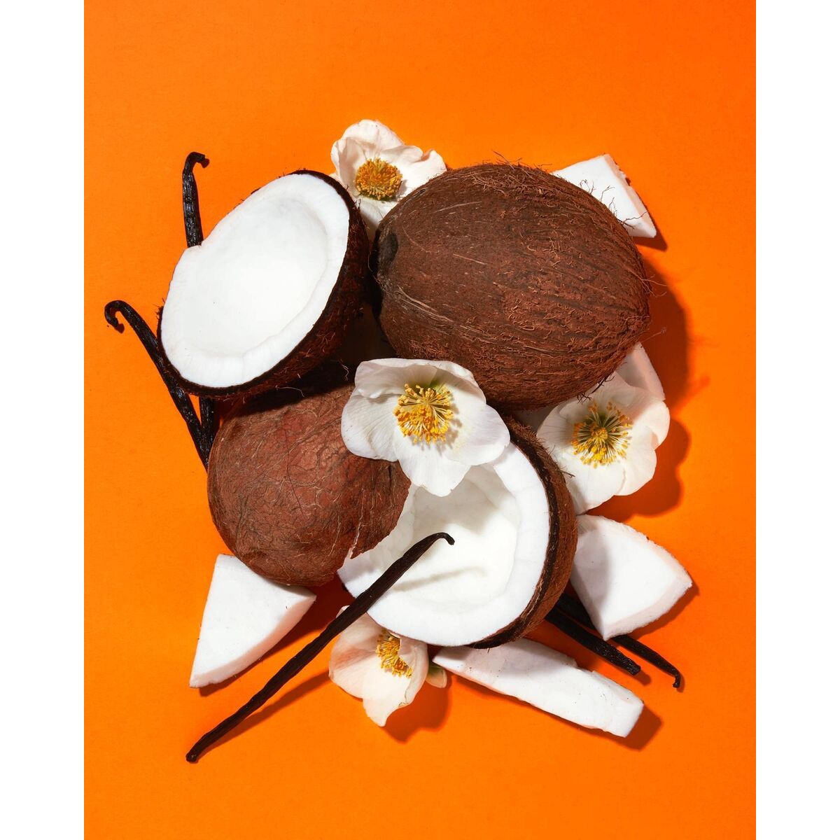 V3HE3B1A0FA0E2057DA9F2E8C41E738BFE7R7565837P8