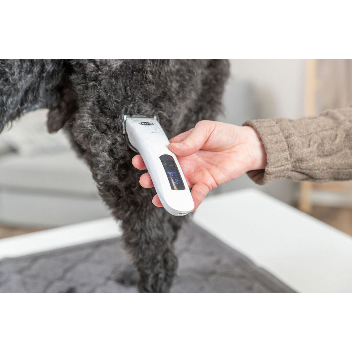 V4HADD7055153AAC1321F9AB5BC67C1AD8DR7505433P10