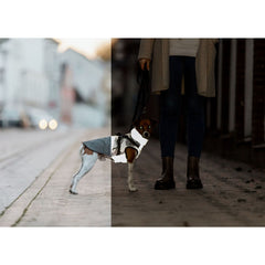 V3H7FFD28AECEC4C72CB4EB550B8531E696R7461535P10