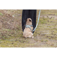 V5H9799C3F0753083B29896445A9189AFF3R7463853P5