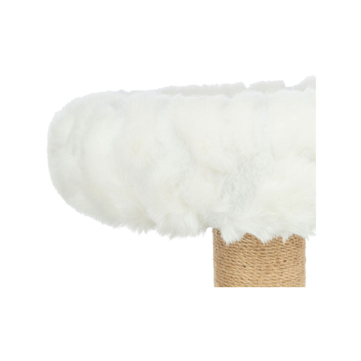 V5H44CF1C9F2A36D8BD65E189E19782D831R7463372P3