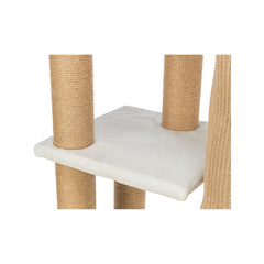 V5H37A9FA486A58E71856D70DC8B1DB7BF0R7463927P9