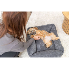 V3H9CFF2C64EA7D22977B2BF6077CF168E1R7591845P8