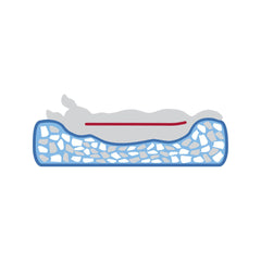 V4HA7B831B25C7A0DDC7AF7ECF583FBFA48R7426409P7