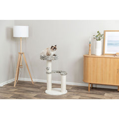 V4H58CD619B2CD590086F33B958015B800CR7428853P5