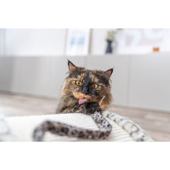 V2HA822D48794574151F126AB7E6123242ER7431711P7