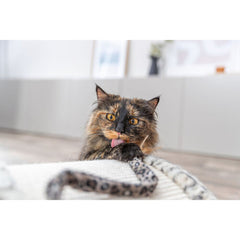 V4H680B66F4BD43F41F23B76E68C949286CR7431713P8