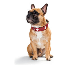 Collar para perros Hunter Swiss Rojo/Negro (41-49 cm)