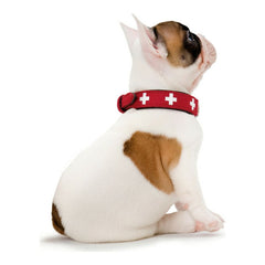 Collar para perros Hunter Swiss Rojo/Negro 35-43 cm