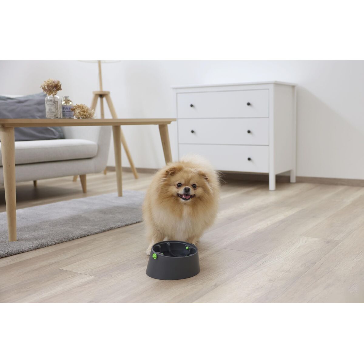 V2H5E384C7FEFAC2B3921C6A2533F2E00DCR7467553P8