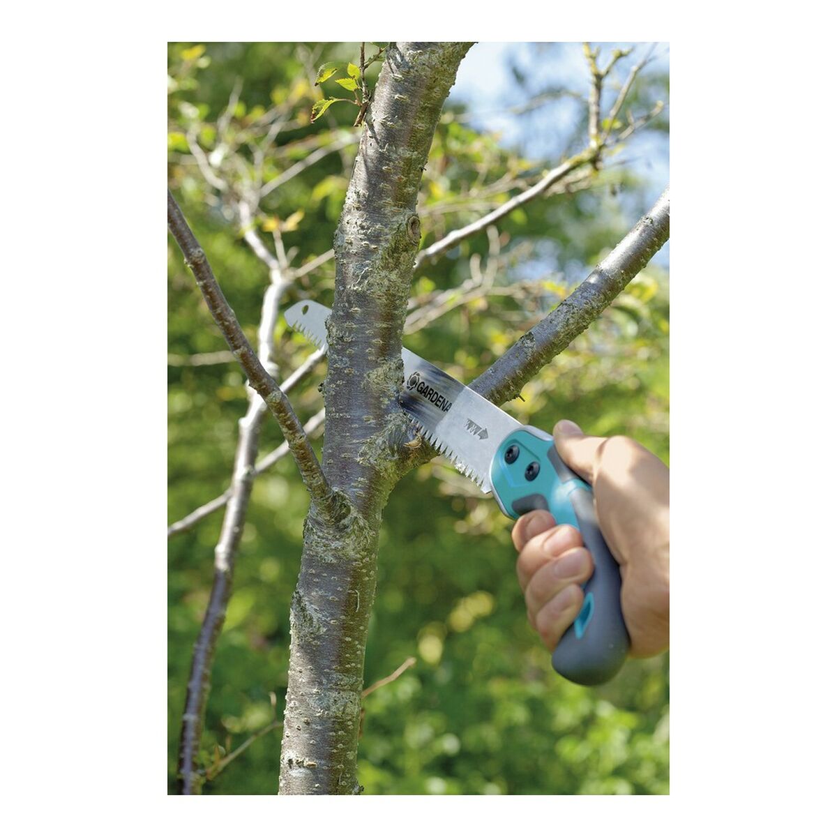 V6HA603CE0EE15CFCB66608686145228033R4202593P5