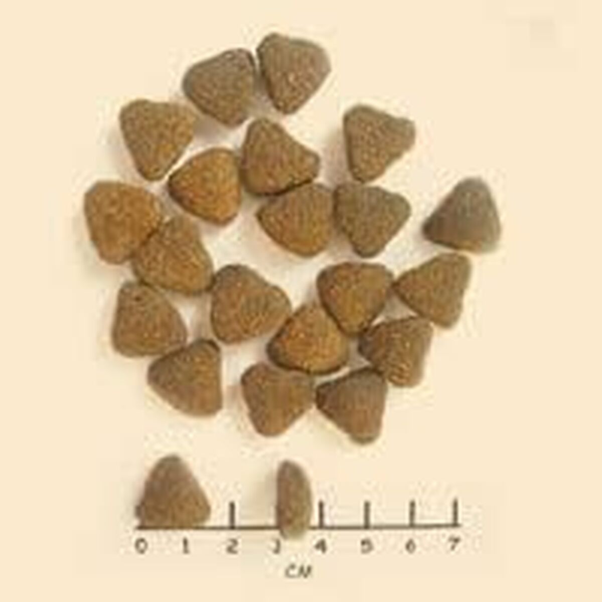 V5HC818ECAE2B4B905EB8FDD89F11D4A7ADR6454231P5