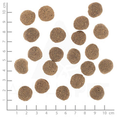 V5HE07C587D1DC6FC97D560EA294D009FB2R6454407P3