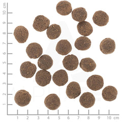 V5H0D7BBCBD2210CE698036171BA742DDB6R6454217P9