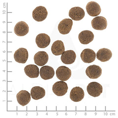 V3HFEE15AD5C907A2C1644B5B29D544BCF7R6454299P9