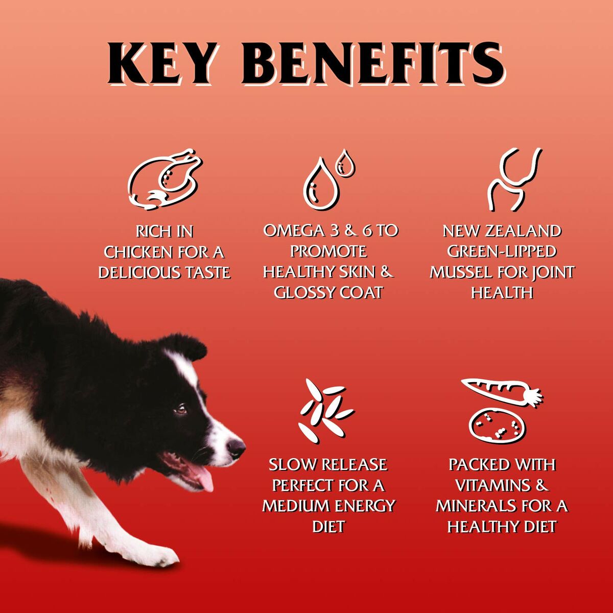 V3HB859A960EFF043FA4EB0776AD84C1113R6450381P2