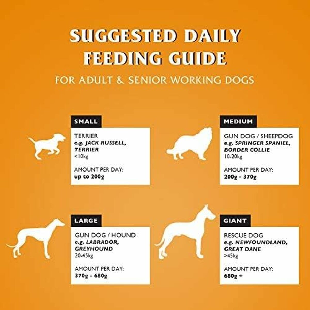 V5H95ED27FCB860973BD66203A8DDD7E849R6450299P4