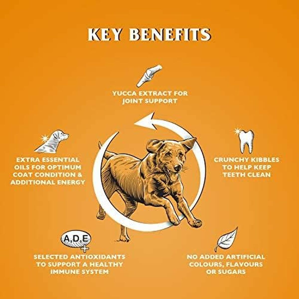 V3H251E16A8CD416FEBFA6C15DCEE38A711R6450300P5