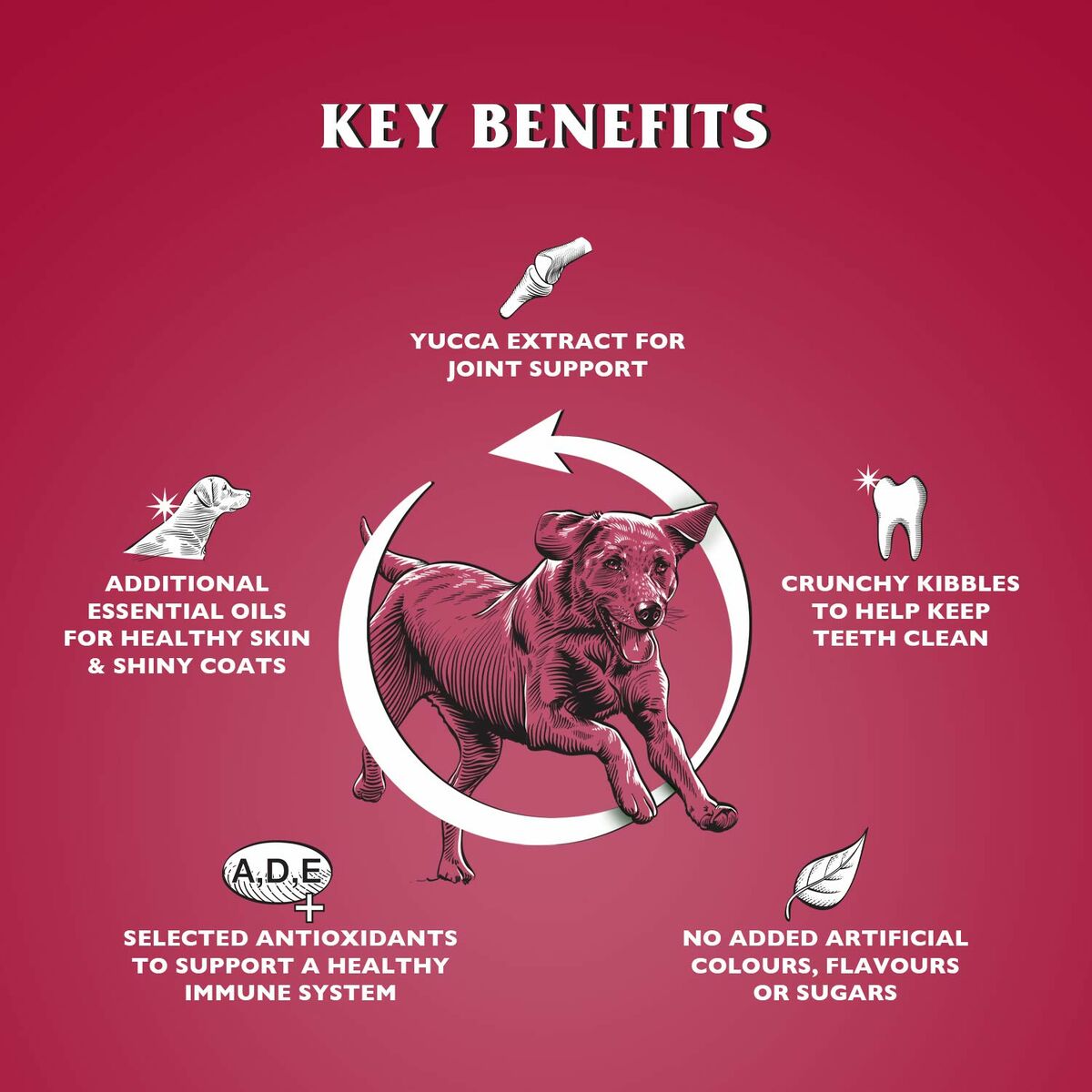 V3HE538C62AB43F611F584ED34481DB2608R6450252P2