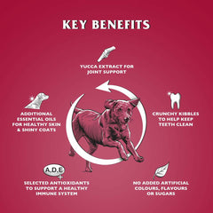 V5HE538C62AB43F611F584ED34481DB2608R6450252P2