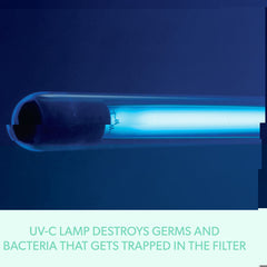 V4HBE9E1720619900AC97F12324EFFB1C1AR5565179P9