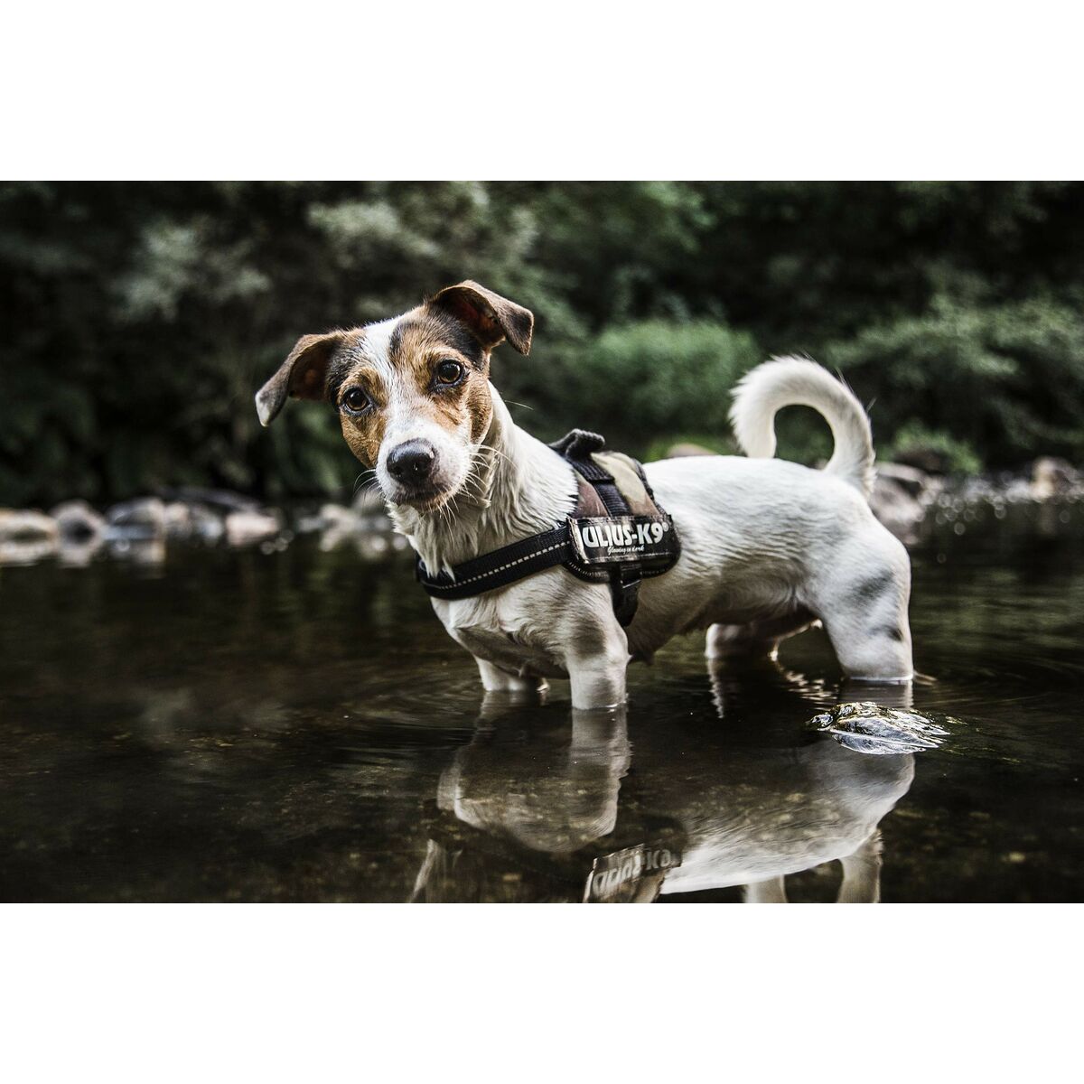 V2H80FF07D46DCDF008B8218E8D0FC41603R7526459P8