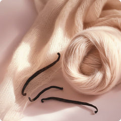 V3H3E1E1C54FD3F997685804964DECD1369R6970218P7