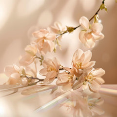 V4H9755B0E1C5CBD22B7BC507B86035E260R7415525P2