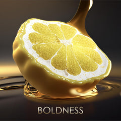 V3H8474C994384FDB769A284DCAEC554B25R7401137P3