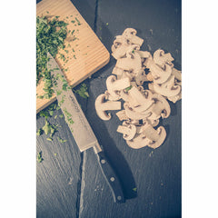 V4HFB7D276BC7E278BDC9AD003688689E52R6891924P2