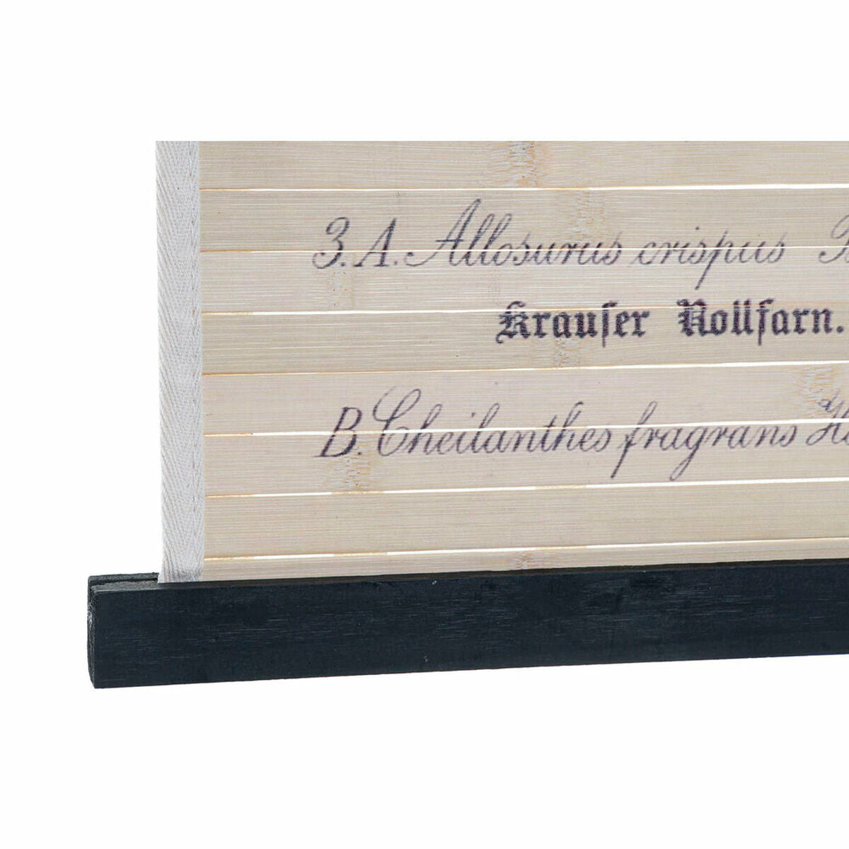 V14H284C30AA7DA6A8DD27D2DA14A573F401R7421829P4