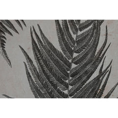 V7H4457B3DE2435646A5A7E3601C14CC036R6371820P3