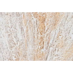 V5HD5214D07C65E327F88FD06177E7E7A10R5620160P3