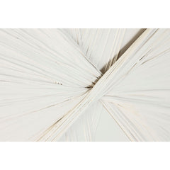 V5H8BE8389352349BC42EB7FC4F9AC0FF49R5934448P3