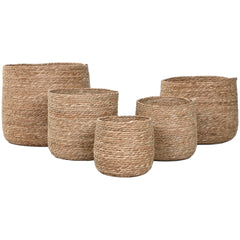 V4HDC62889A4835F59BBCE7944BC0CC601CR7237276P3