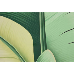 V3H067CFE005DBBB39509DDE6DF1C060269R7092571P3