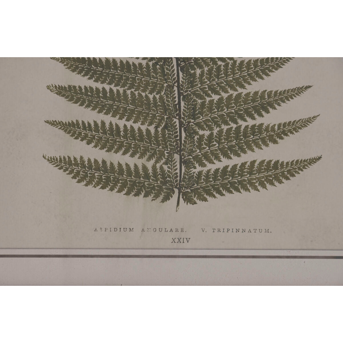 V4HB84321E047DE7247B804F1C421077A59R7429297P3