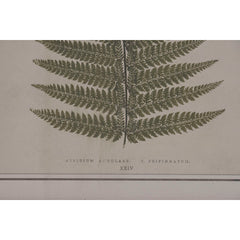 V4HB84321E047DE7247B804F1C421077A59R7429297P3